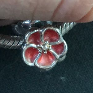 Pandora charm